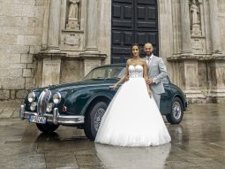 
										Jaguar full									