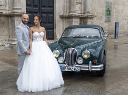 
										Jaguar full									