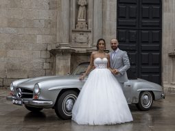 
										Mercedes-Benz 190SL full									